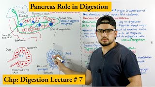 Pancreas and its functions [upl. by Dinnie629]