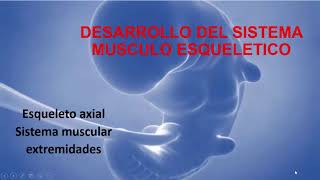 Desarrollo del sistema musculoesquelético [upl. by Kecaj369]