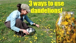 3 WAYS TO USE SPRING DANDELIONS  FORAGING [upl. by Ardnasella970]