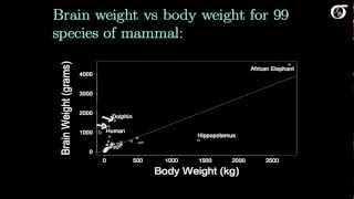 Simple Linear Regression Transformations [upl. by Beauchamp]