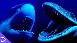 Megalodon VS Mosasaurus TRAILER Animated Fight [upl. by Ardet]