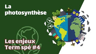 La photosynthèse  SVT  ENJEUX Term spé 4  Mathrix [upl. by Ely]