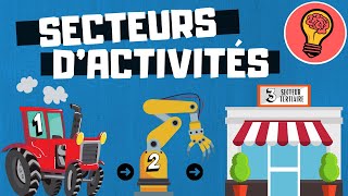 LES SECTEURS DACTIVITES  DE PRODUCTION [upl. by Kristo]