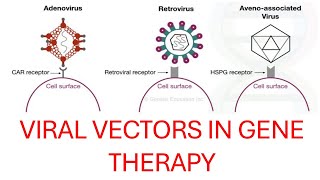 Viral Vectors in Gene Therapy Explained Adenovirus Retrovirus Lentivirus amp HSV [upl. by Alphonso]