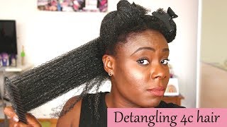 How to detangle 4c natural hair [upl. by Ettecul]