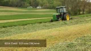 Triticale Cover Crops for Feed and Soil Health [upl. by Arreik]