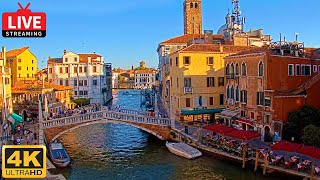 🔴 4K Live Cam of Ponte delle Guglie Venice  View from Hotel Leone Venezia  Live stream ライブカメラ [upl. by Karoline]