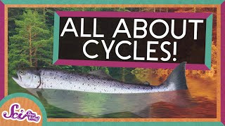 From Seasons to Salmon All About Cycles  SciShow Kids Compilation [upl. by Grover683]