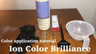 Color Application tutorial  Ion Color Brilliance for beginners [upl. by Artie]