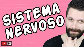 SISTEMA NERVOSO  FISIOLOGIA  Aula  Biologia com Samuel Cunha [upl. by Garihc]