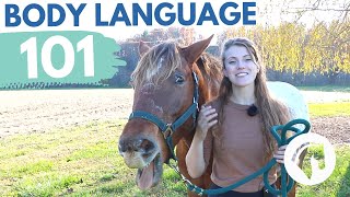 READING HORSE BODY LANGUAGE amp BEHAVIOR [upl. by Noned]