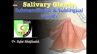 Submandibular and Sublingual Glands [upl. by Htepsle262]