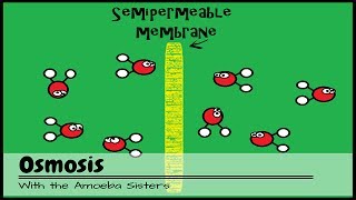 Myositis Inflammatory Myopathy Treatment [upl. by Hummel]