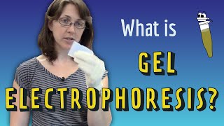 What is Gel Electrophoresis [upl. by Huey607]