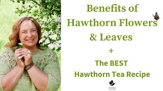 Medicinal Flowers  Benefits of Hawthorn Flowers  Hawthorn Tea Recipe [upl. by Dazhehs]