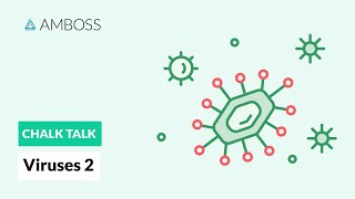 Viruses  Part 2 DNA vs RNA Viruses [upl. by Averill]