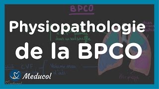 Emphysème pulmonaire et BPCO physiopathologie et causes [upl. by Anesor]