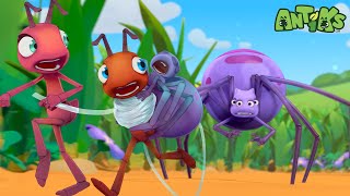 Sticky Spider Trouble  Antiks 🐜  Funny Cartoons for Kids [upl. by Ravilob]