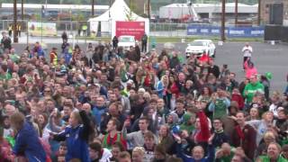 Northern Ireland fans Sing Sweet Caroline EURO 2016 [upl. by Attennyl]