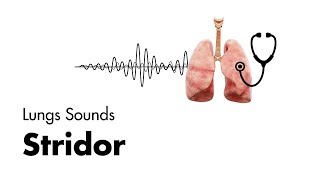 Stridor  Lung Sounds  MEDZCOOL [upl. by Daas]