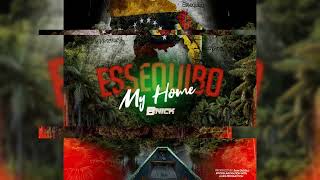 BNick  Essequibo My Home Official Audio [upl. by Gabler]