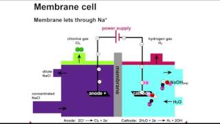 ChlorAlkali Process Animation [upl. by Noinatrad359]