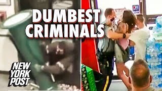 The Dumbest Criminals of 2018  New York Post [upl. by Anehsat443]