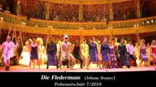 DIE FLEDERMAUS Operette von Johann Strauss [upl. by Novaelc]