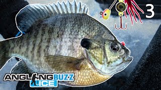 Ice Fishing Panfish – AnglingBuzz ICE [upl. by Lexis]