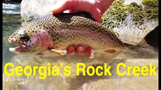 Trout Fishing Georgias Rock Creek [upl. by Alaine299]