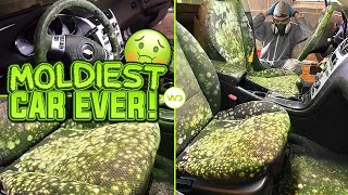 Deep Cleaning the MOLDIEST BIOHAZARD CAR EVER  Satisfying DISASTER Car Detailing Transformation [upl. by Aisorbma]