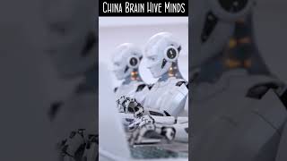 China Brain Hive Minds [upl. by Whitnell290]