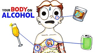 How Alcohol Changes Your Body [upl. by Crabb]