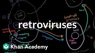 Retroviruses  Cells  MCAT  Khan Academy [upl. by Airednaxela108]