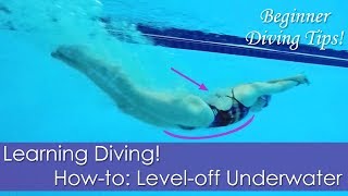 Beginner Learning Diving Howto Leveloff Underwater [upl. by Allys]