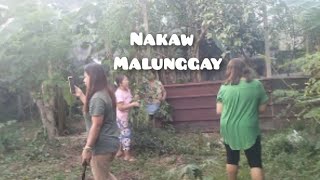 MARENG VLOG [upl. by Daley952]