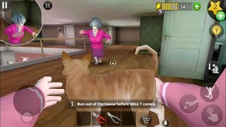 Scary Teacher 3D Version 534  Tani Save The Cat [upl. by Ymmik976]