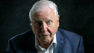 First Look  David Attenborough A Life On Our Planet [upl. by Tnarud]