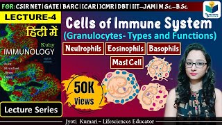 Immunology Cells of Immune System Neutrophils Eosinophils Basophils amp mast cells  Lecture4 [upl. by Idnil323]