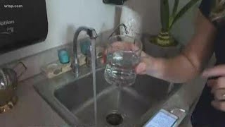 Study finds issues in Zephyrhills drinking water [upl. by Imoen]