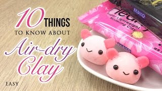 10 Things You Must Know About Airdry Clay [upl. by Ellerrehs]