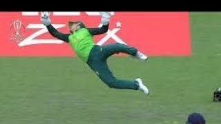 Top 10 Best Wicket Keepers Catches in Cricket History [upl. by Akinohs729]