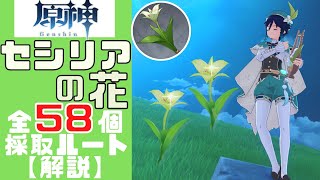 【原神】誰よりもわかりやすくセシリアの花50個＋8個すべての採取ルートを解説する！／Cecilia collect route【Genshin Impact】 [upl. by Tiebold603]