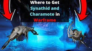 Where to find Charamote and Synathid in Warframe [upl. by Neidhardt96]