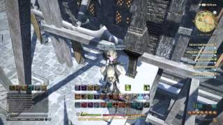 FFXIV  Cat on a Cold Stone Roof without flying [upl. by Ynohtona]