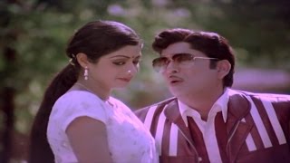 Panchami Poota Manchidhani Video Song  Sriranganeetulu Movie  ANRSridevi [upl. by Ylicic]