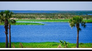 Driving along Lake Okeechobee in Florida [upl. by Almire]