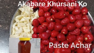 Dalle Khursani Ko Paste AcharHow To Make Chilli Pickle [upl. by Asseniv166]