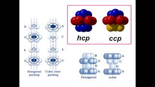 hcp vs ccp [upl. by Rodmann]