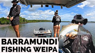 Barramundi Fishing Weipa [upl. by Ridgley]